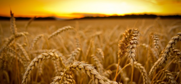 Como Praticar a Prosperidade